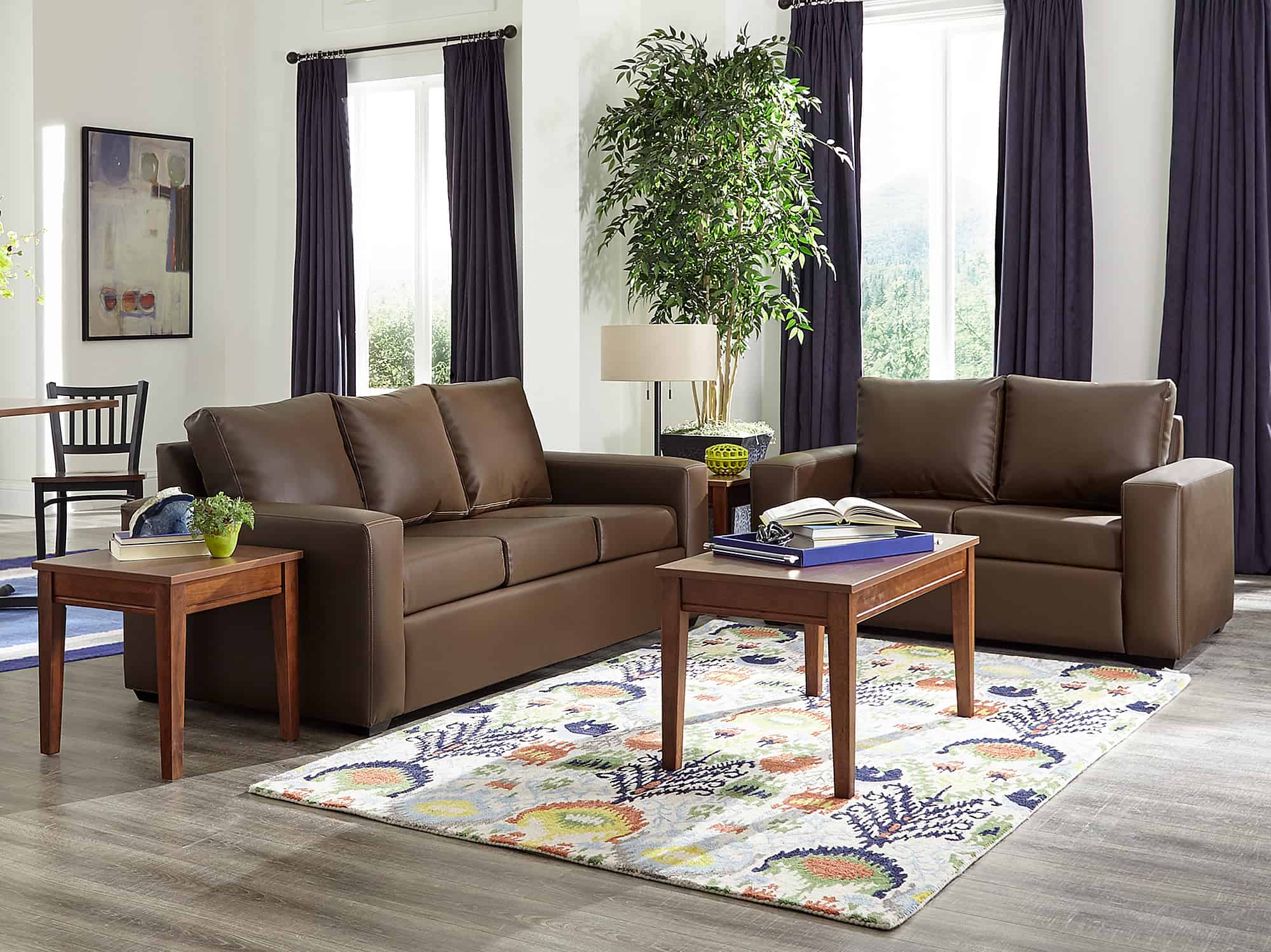 Canyon Sofa and Loveseat in living room setting