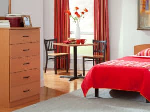 Bistro dining chairs