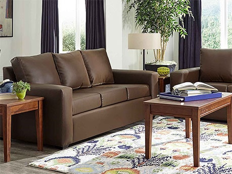 Leather Canyon Sofa show in common area living space