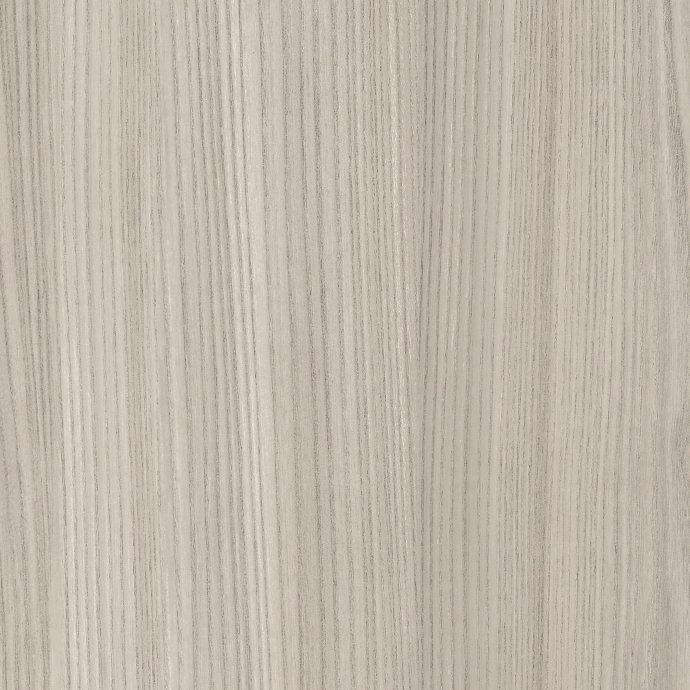 Grey Elm
